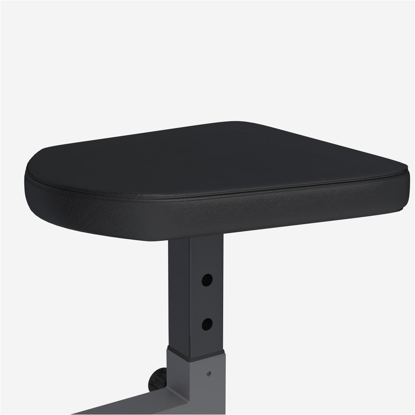 Curlbank Curlpult Bizepsbank E-Series - Gorilla Sports Schweiz