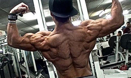 Shredded- der Plan zur Reduktion von Körperfett - Gorilla Sports Schweiz