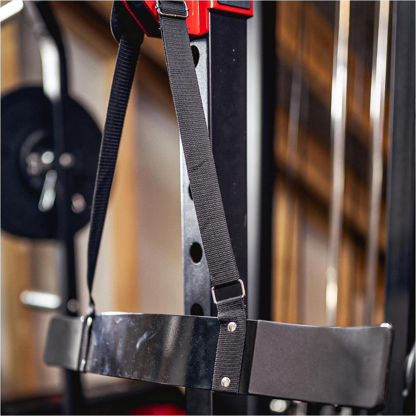 Arm Blaster Isolator für Armtraining - Gorilla Sports Schweiz