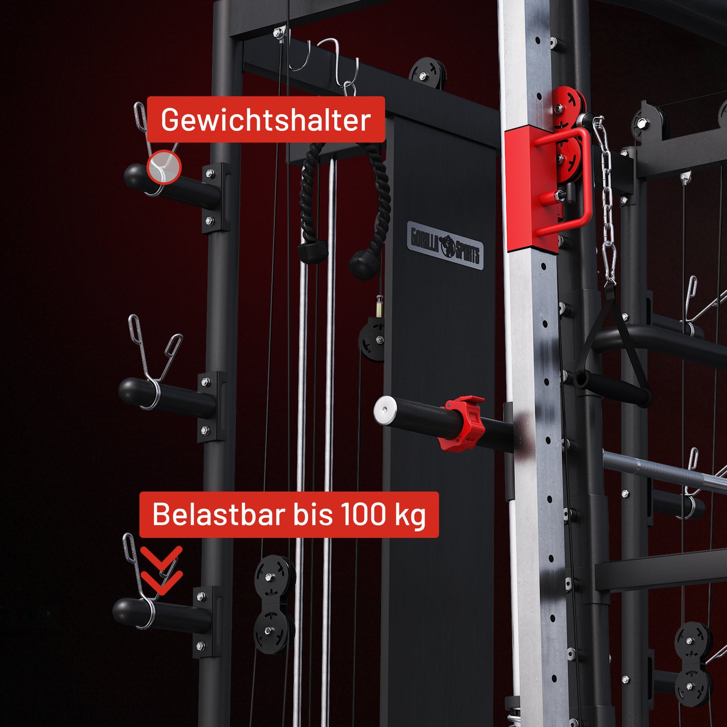Smith Machine Multifunction