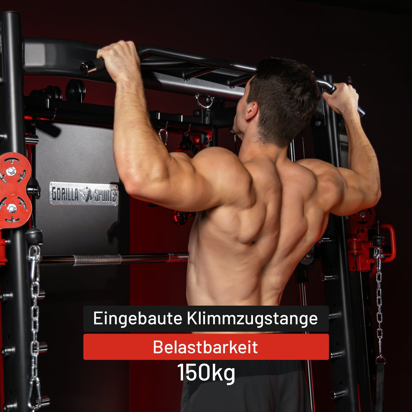 Smith Machine Multifunction