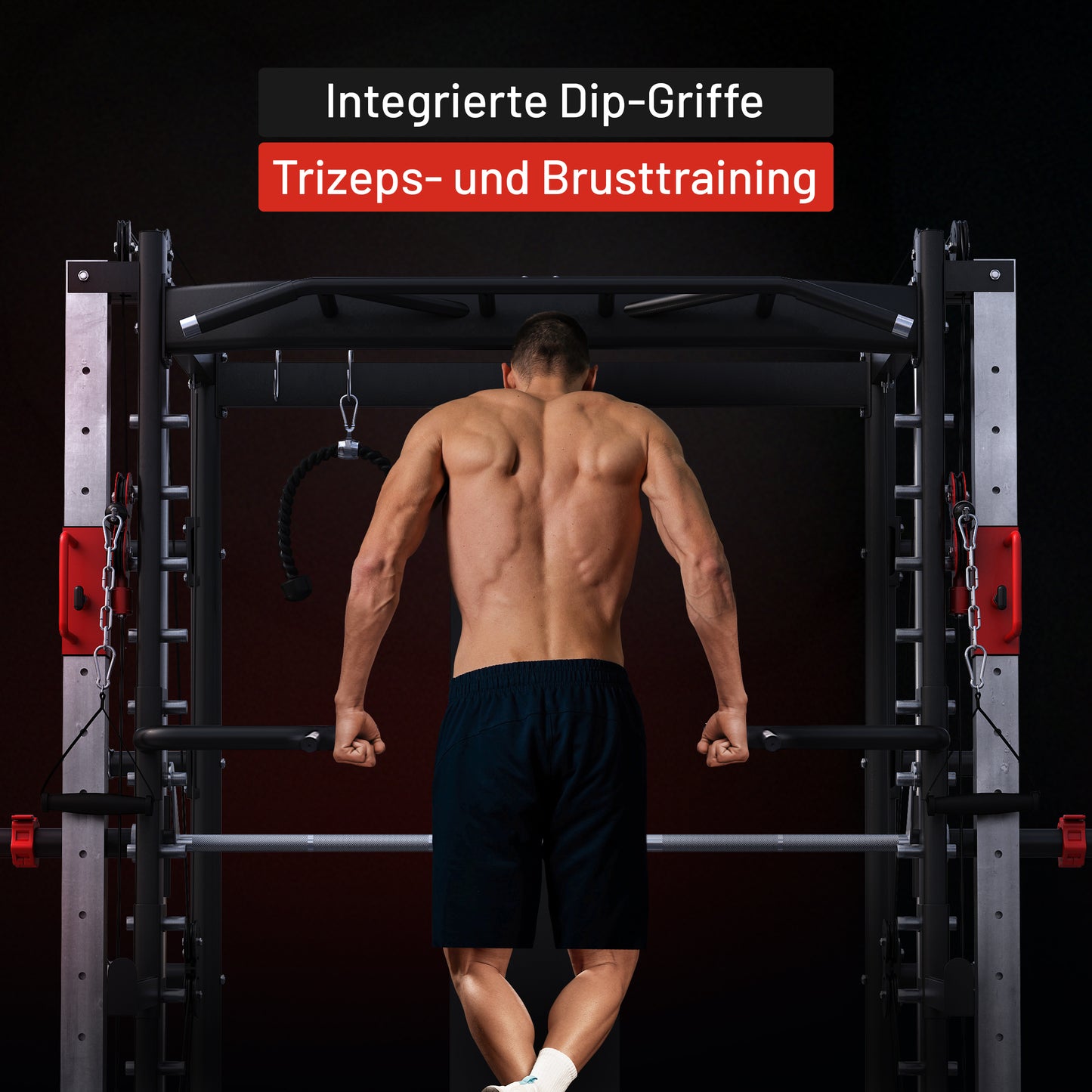 Smith Machine Multifunction