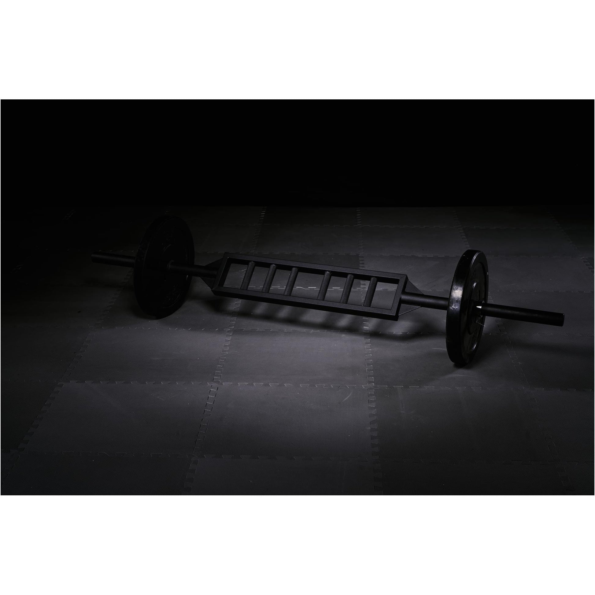 Swiss Bar 50/51 mm - Gorilla Sports Schweiz