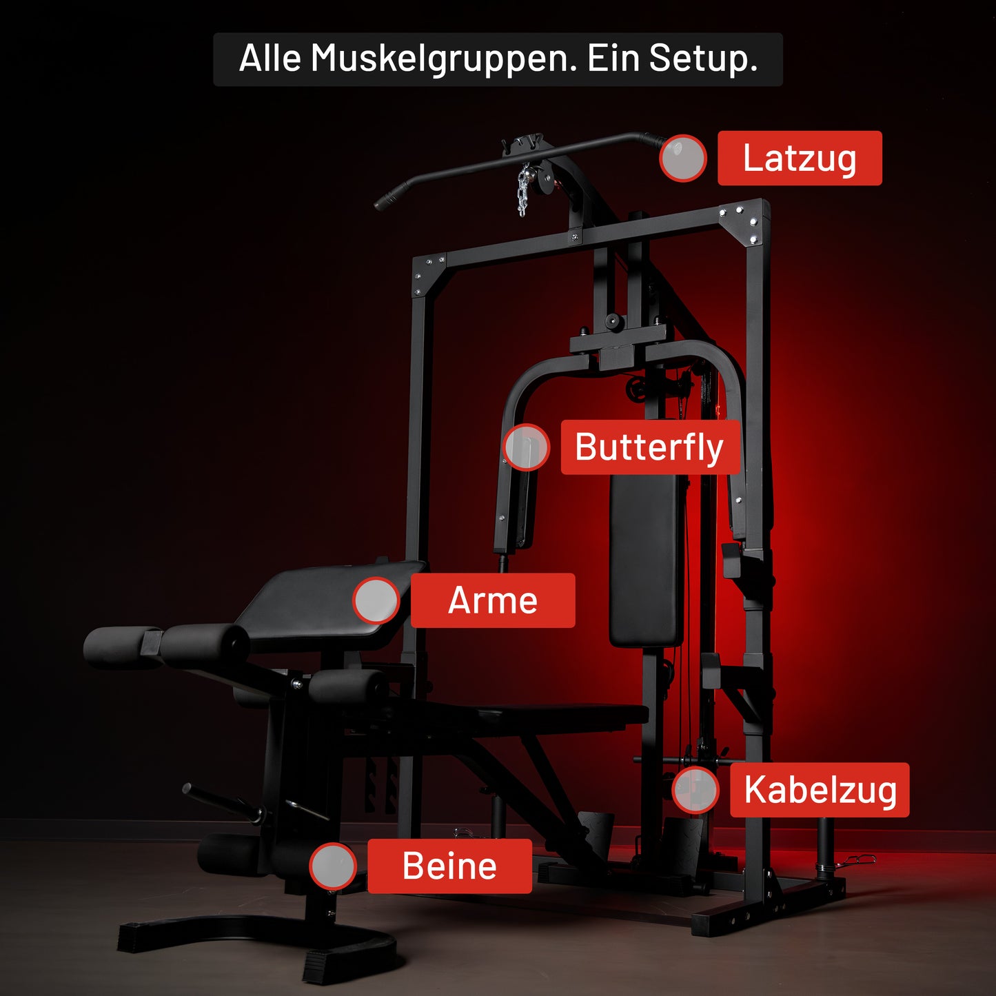 Home Gym mit verstellbarer Hantelbank