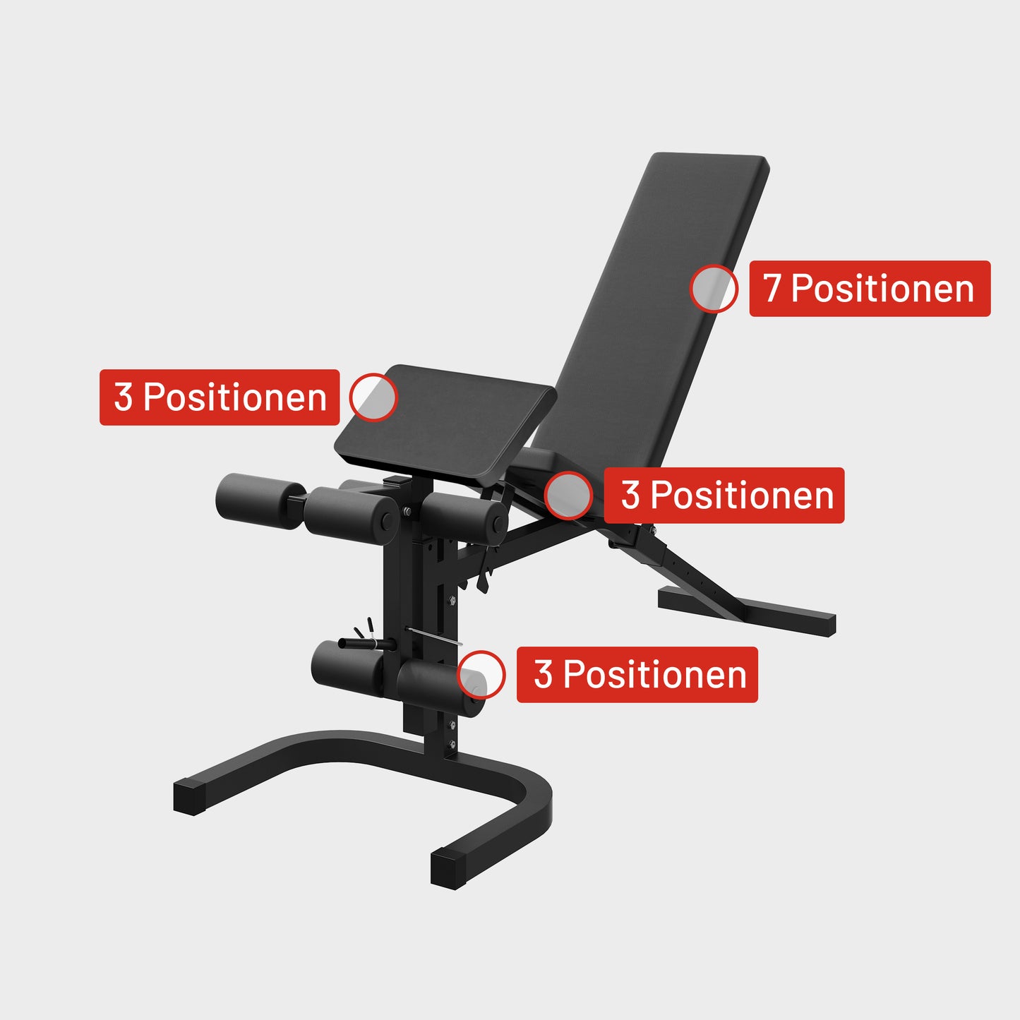 Home Gym mit verstellbarer Hantelbank