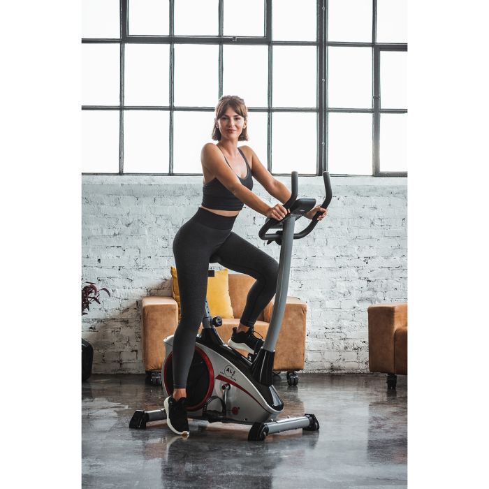 Hometrainer Ergometer AL 2 Silber - Gorilla Sports Schweiz