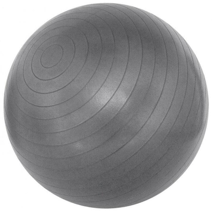Thera Band ABS Gymnastikball - Gorilla Sports Schweiz