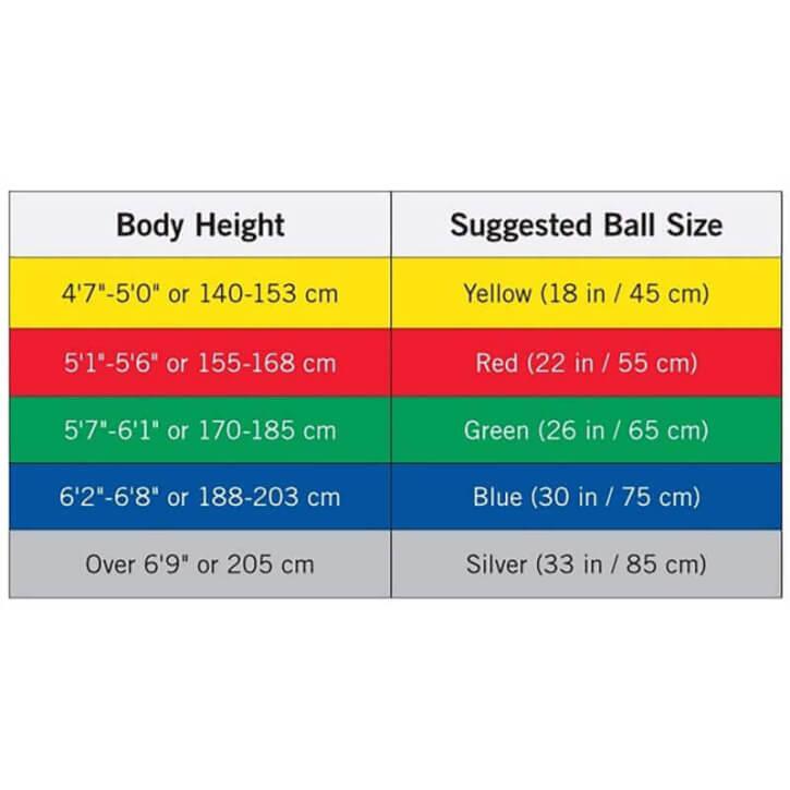 Thera Band ABS Gymnastikball - Gorilla Sports Schweiz