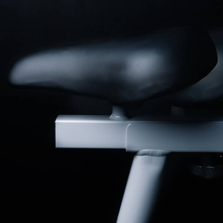 Heimtrainer AL 1 Silber - Gorilla Sports Schweiz