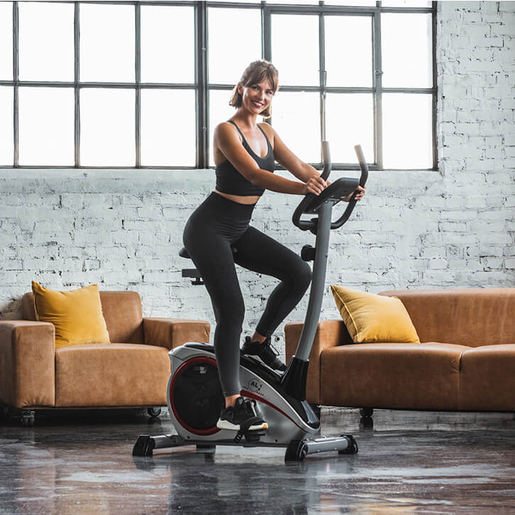 Heimtrainer AL 1 Silber - Gorilla Sports Schweiz