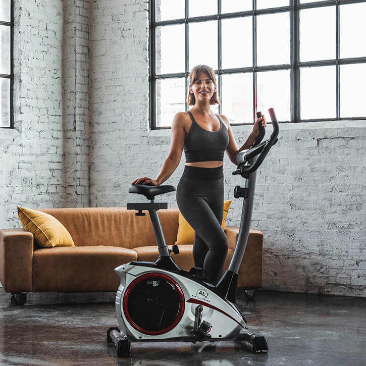 Heimtrainer AL 1 Silber - Gorilla Sports Schweiz