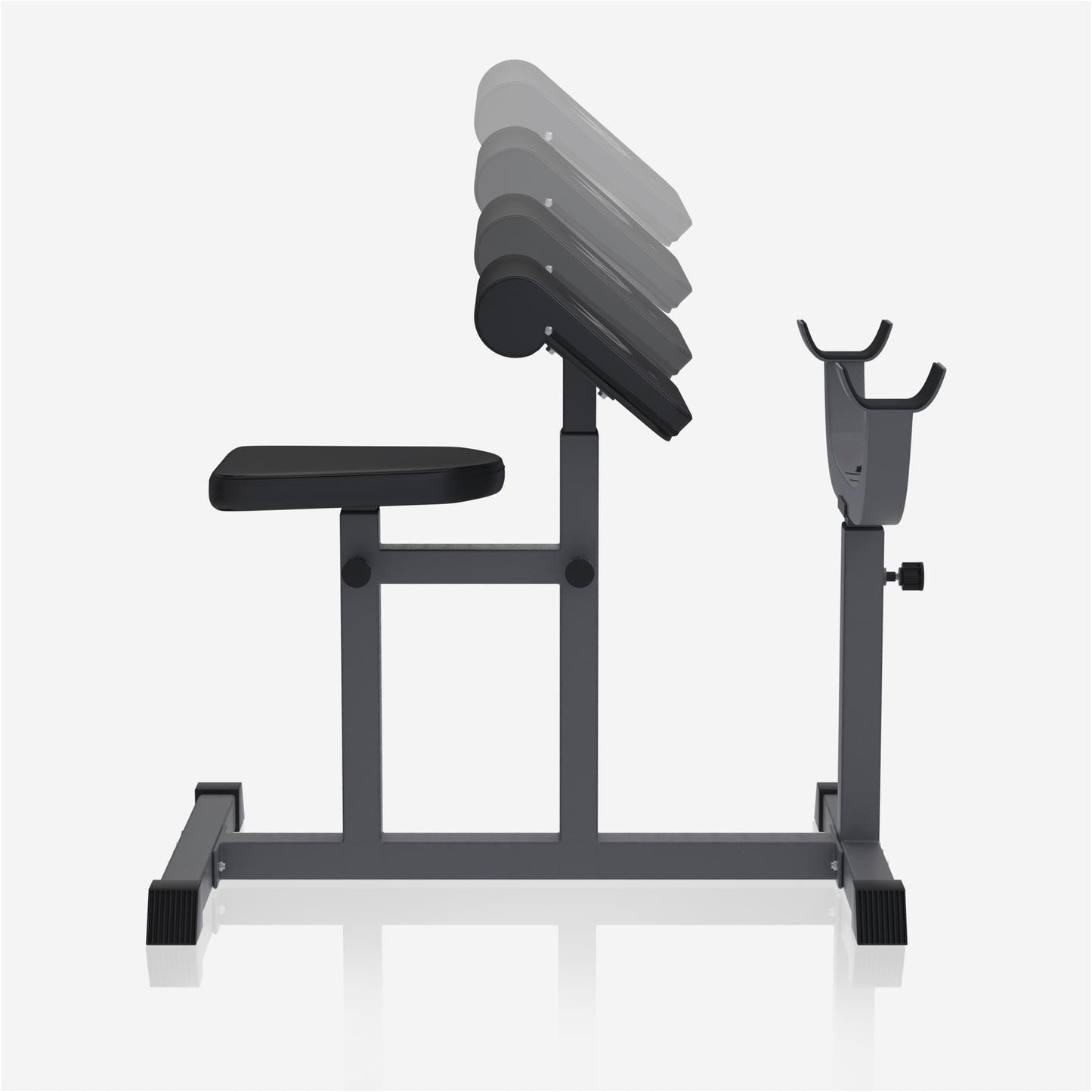 Curlbank Curlpult Bizepsbank E-Series - Gorilla Sports Schweiz