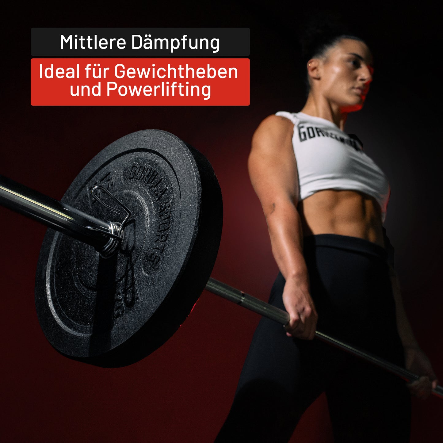 Hi Temp Bumper Plates 5 kg - 25 kg