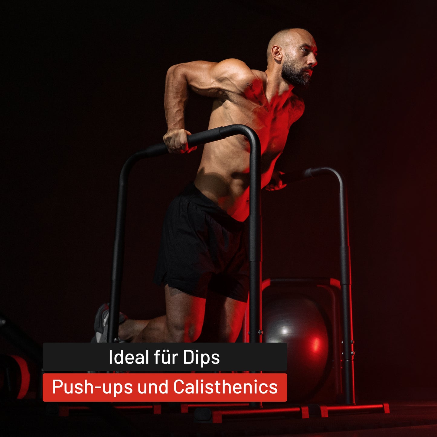 Barres de trempage Push Up Stand Noir/Rouge/Bleu