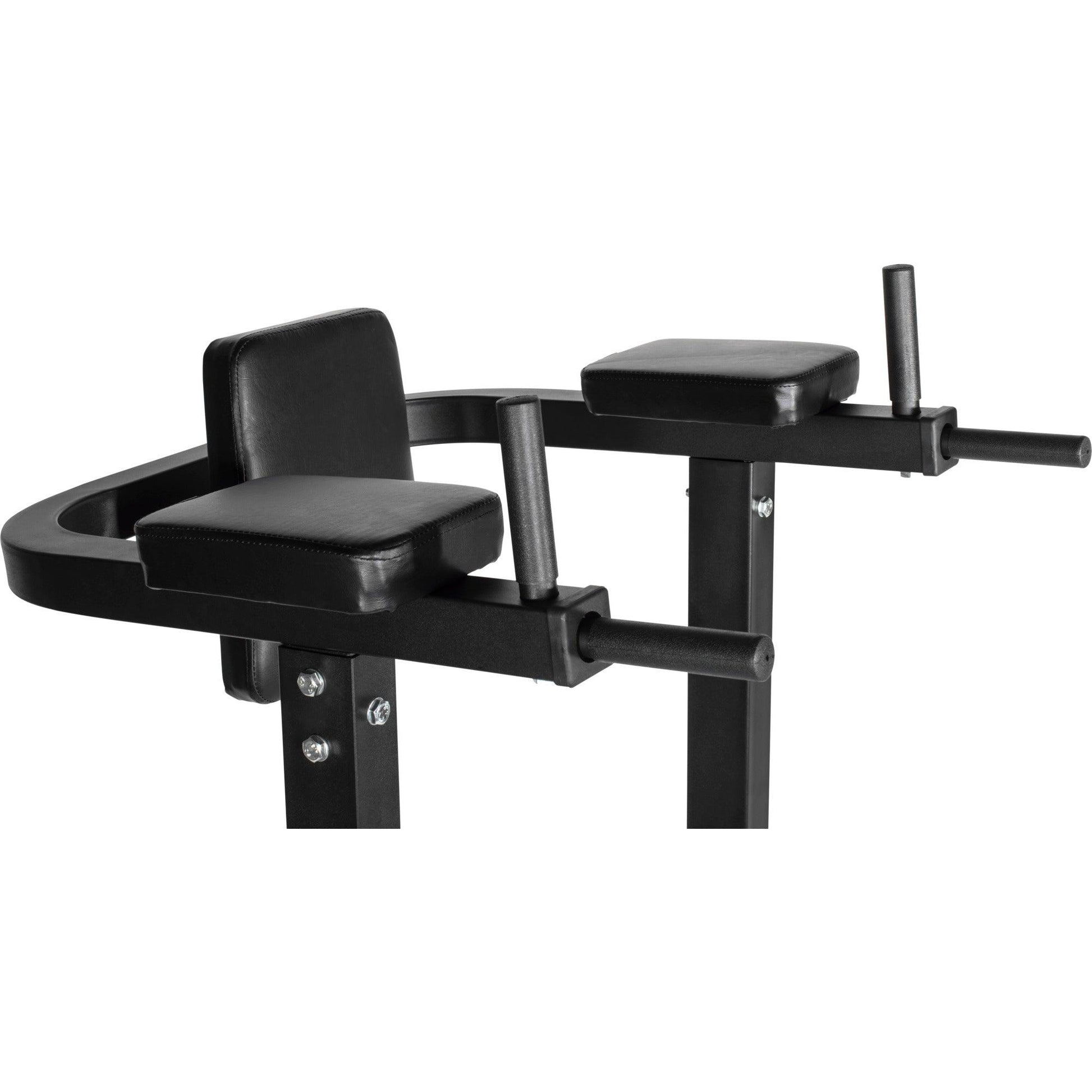 Dip Station Multifunction - Gorilla Sports Schweiz