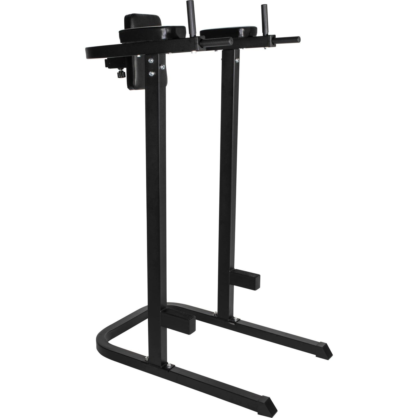 Dip Station Multifunction - Gorilla Sports Schweiz