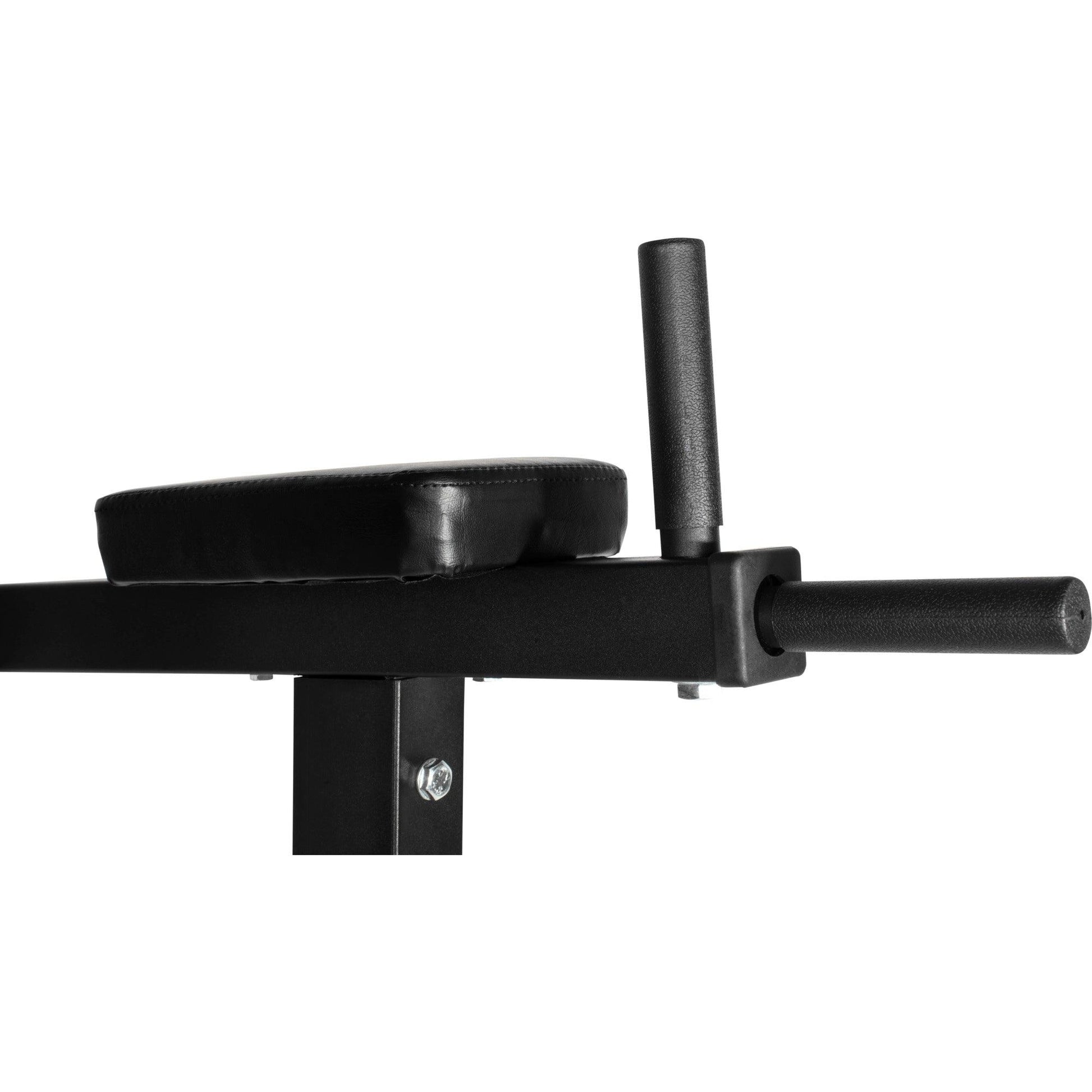 Dip Station Multifunction - Gorilla Sports Schweiz